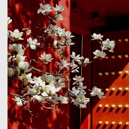 Hotel Cote Cour Deductive Beijing - Quadrangle Close To Tiananmen Square & Forbidden City & Nanluoguxiang, Walk To Wangfujing, English Speaking, Free Wifi, Free Laundry, Free Wonton & Noodles With Tour Ticket Service, Free Selfies With Ancient Costum Eksteriør bilde